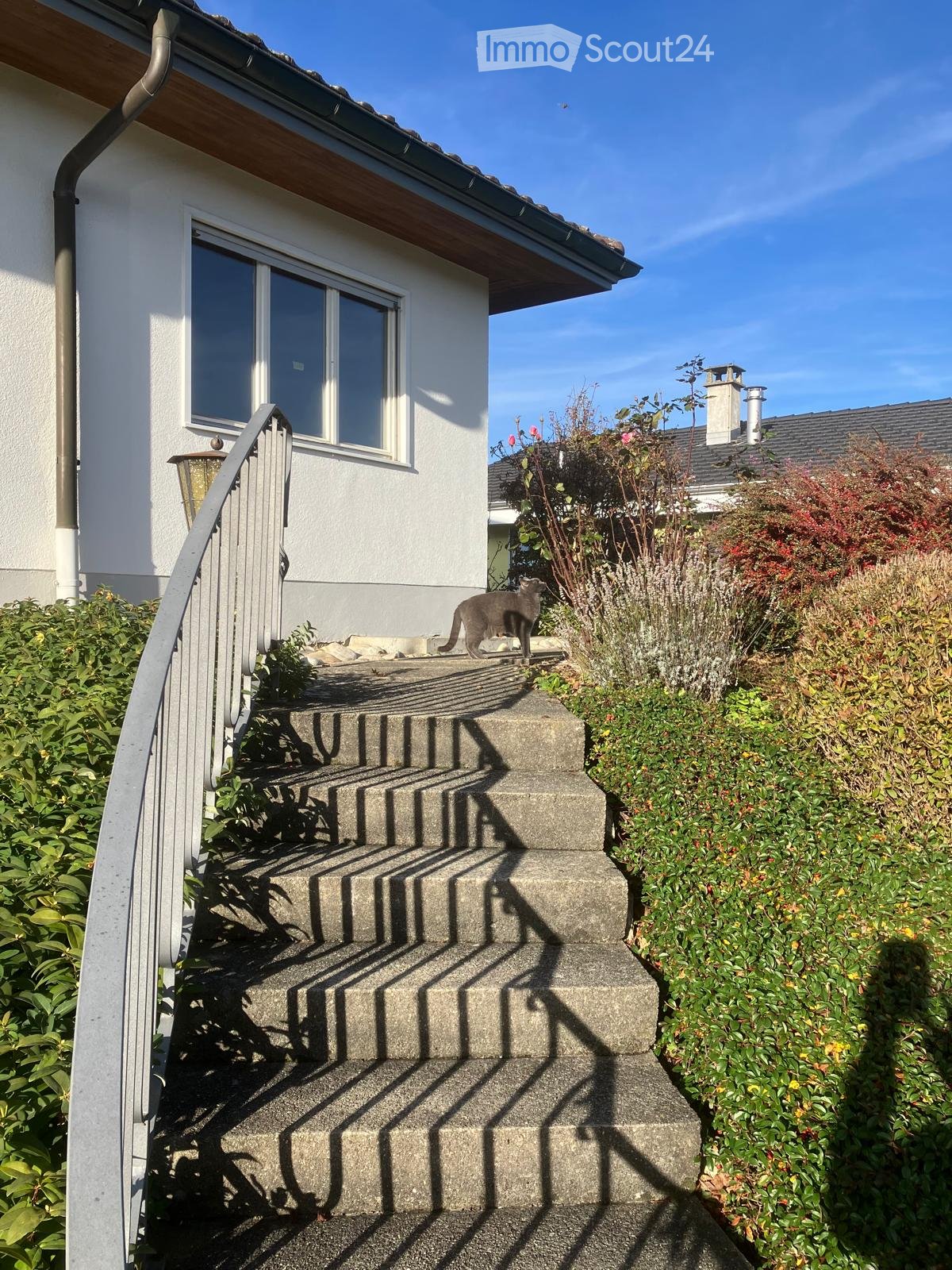 Staircase leading to a raised house entrance, surrounded by greenery and a cat on the steps.