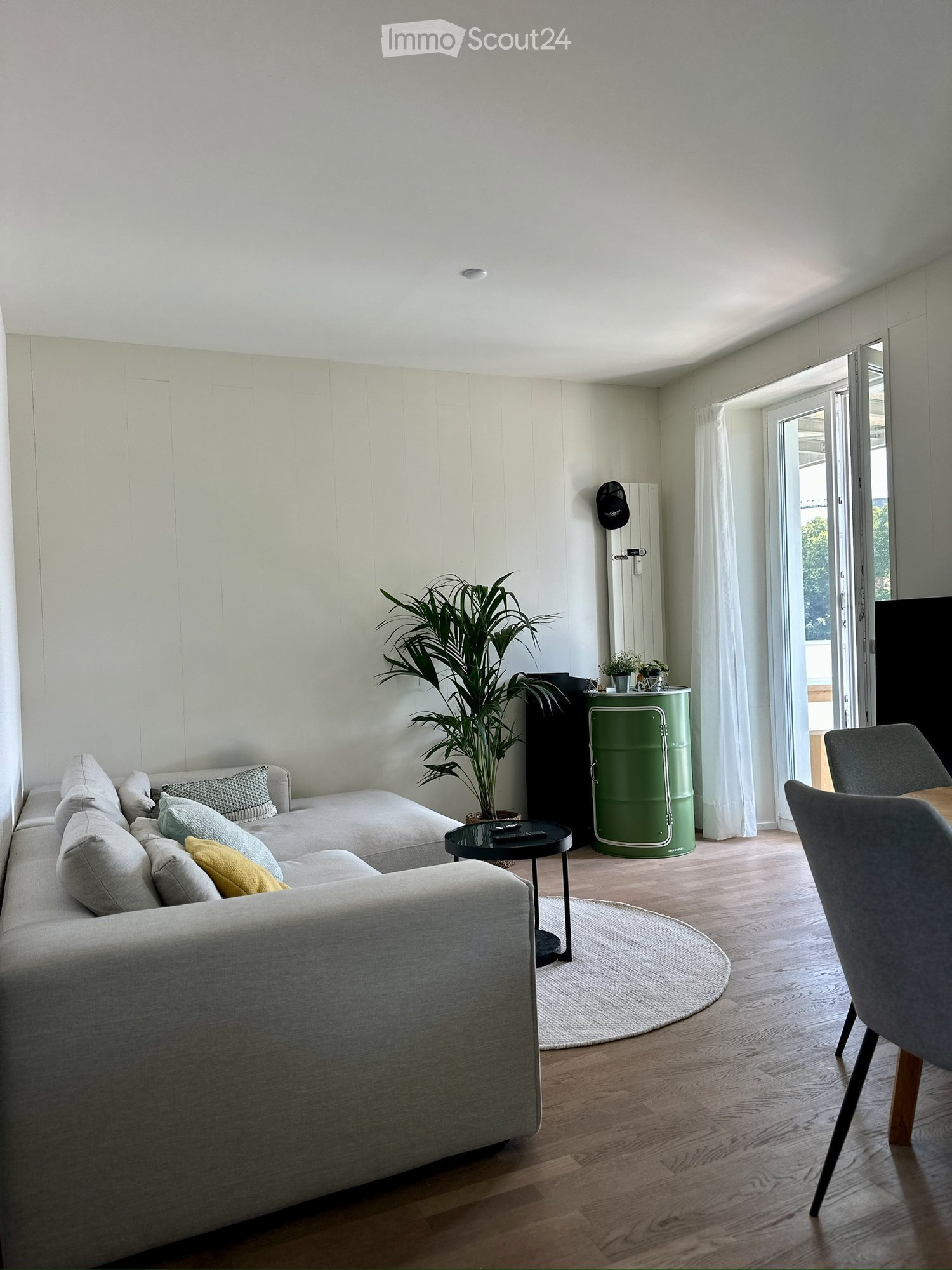 Modern living room with light-colored walls, wooden flooring, and large windows. Features a grey sectional sofa, coffee table, dining chair, small table, and a large potted plant.