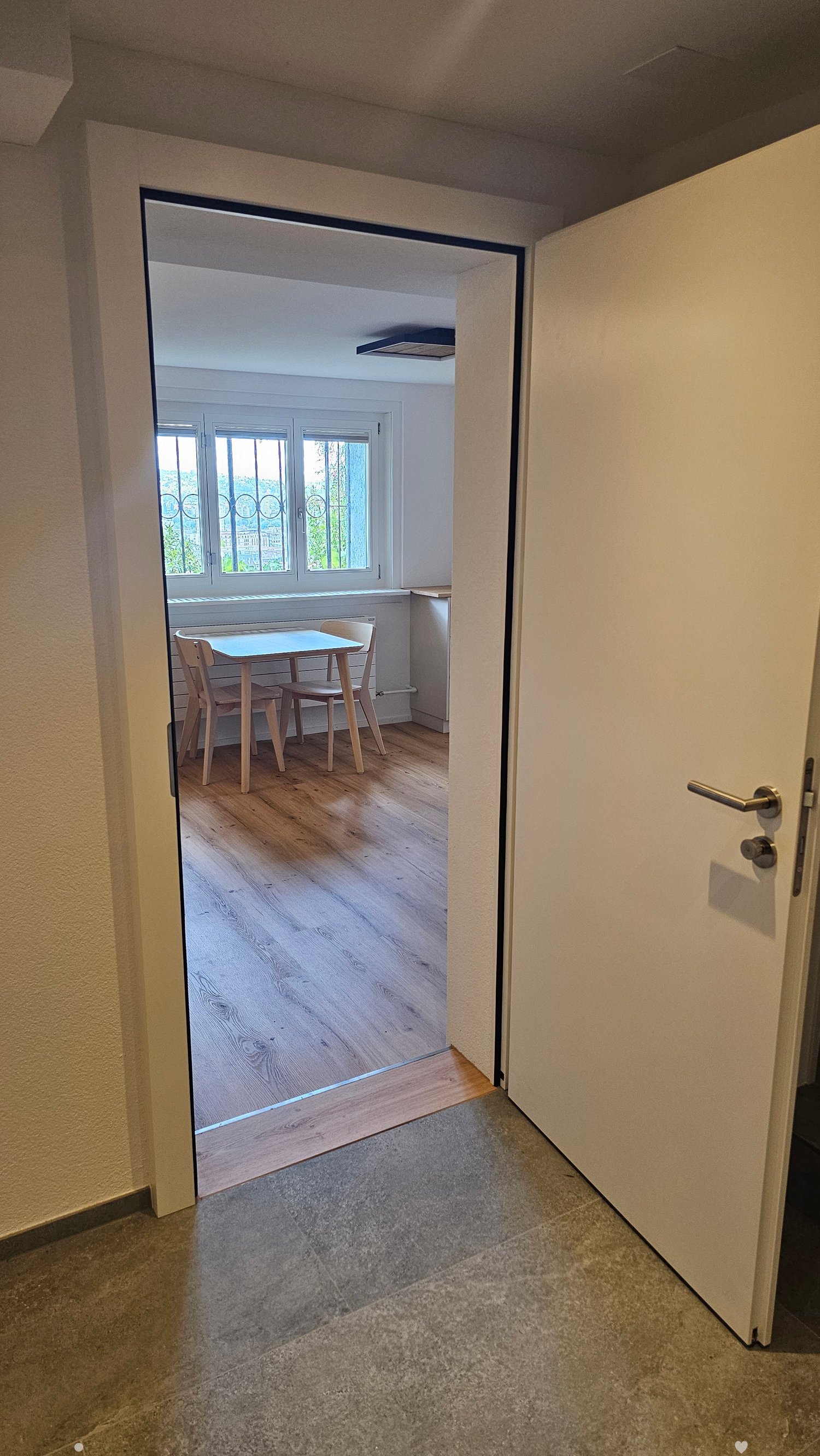 A hallway with a carpeted floor leads to a room with wooden flooring, a small table, and chairs near a window with a view.