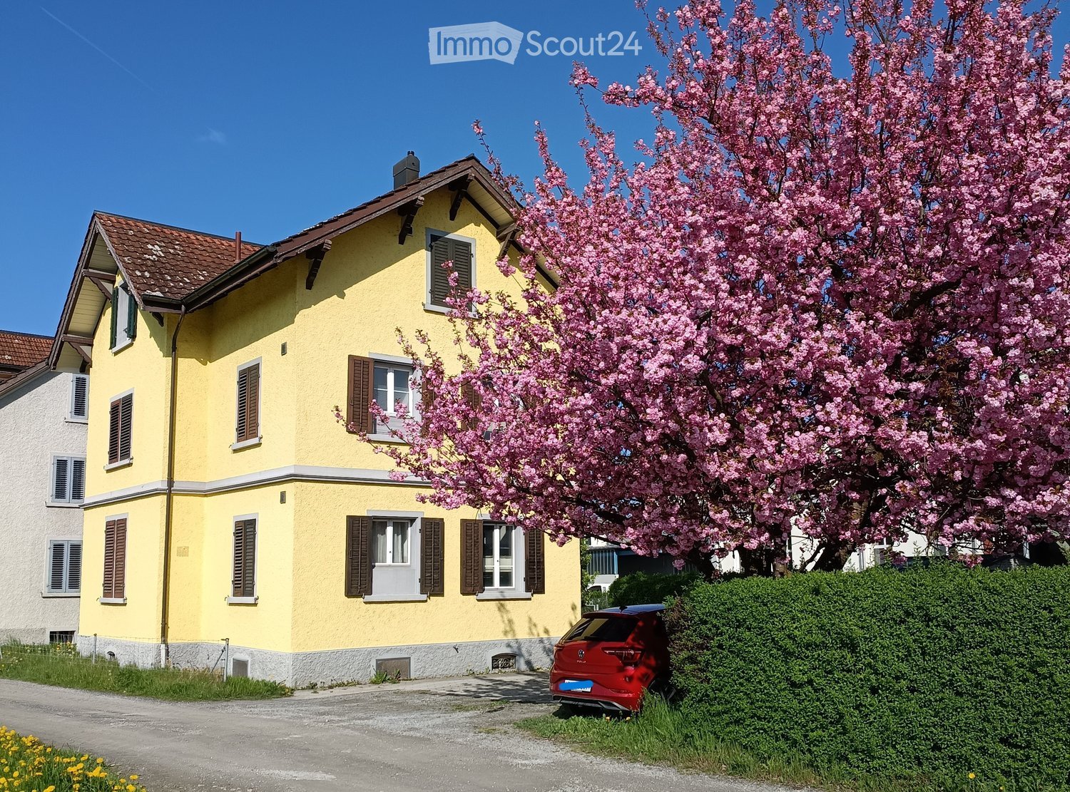 Two-story yellow house with brown shutters and a red-tiled roof, featuring multiple windows and a blooming pink tree in the front yard.