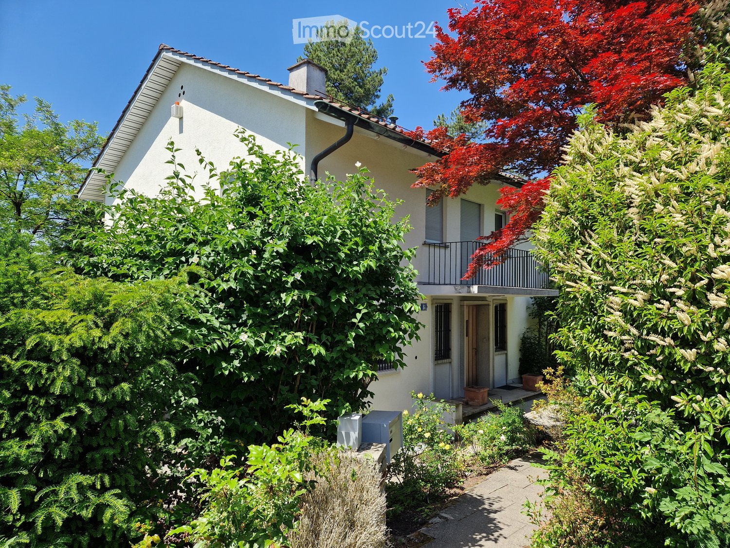 A two-story house with a white exterior, surrounded by lush greenery and a red maple tree. The house features a balcony on the upper level and a small garden area in front.