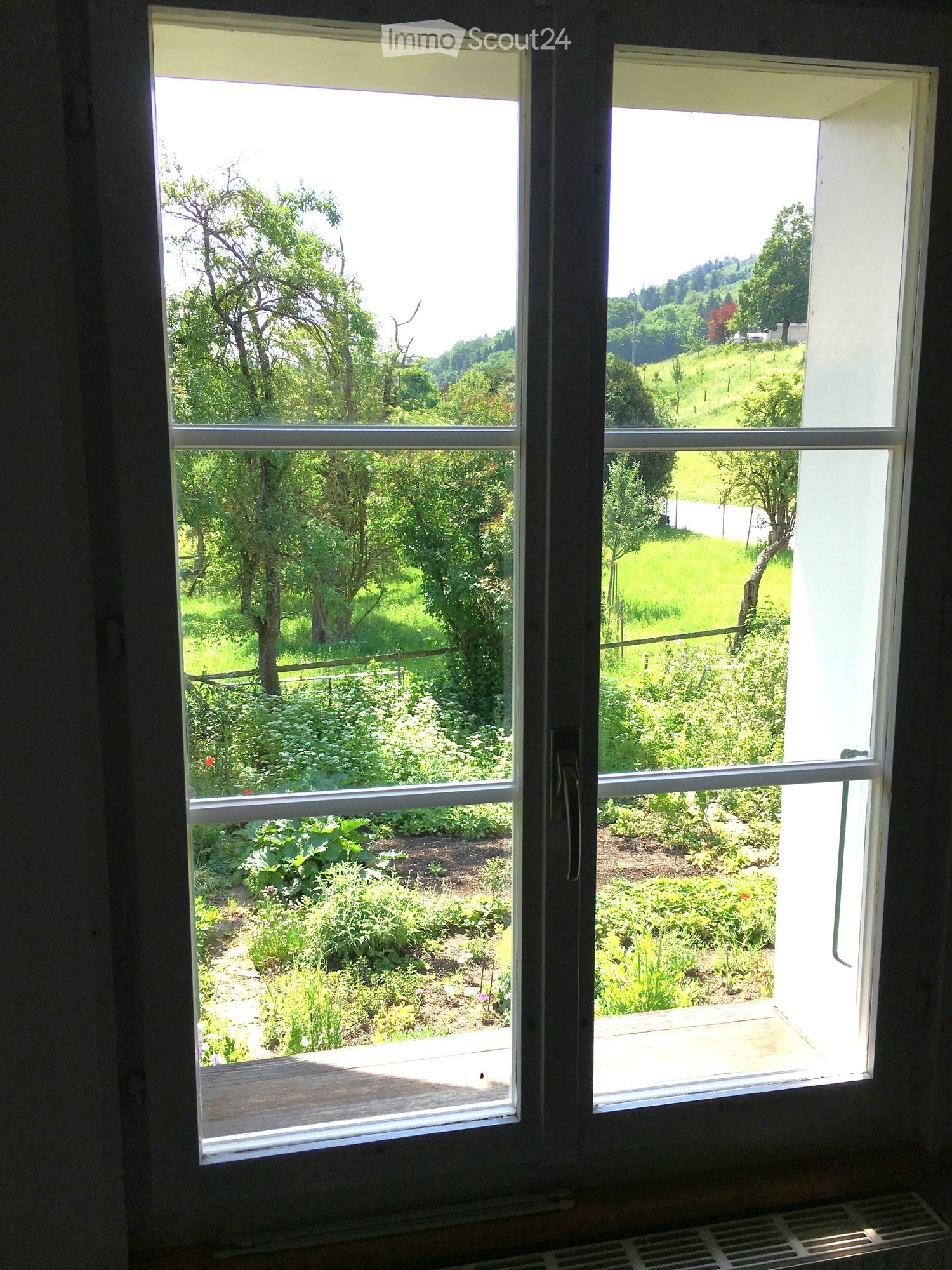sliding glass door, view of a garden with trees and plants