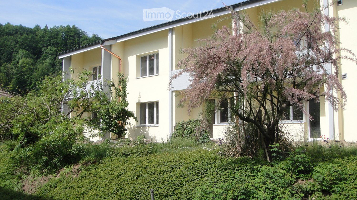 Two-story yellow building with white trim, multiple windows, and a balcony, surrounded by greenery and a flowering tree.