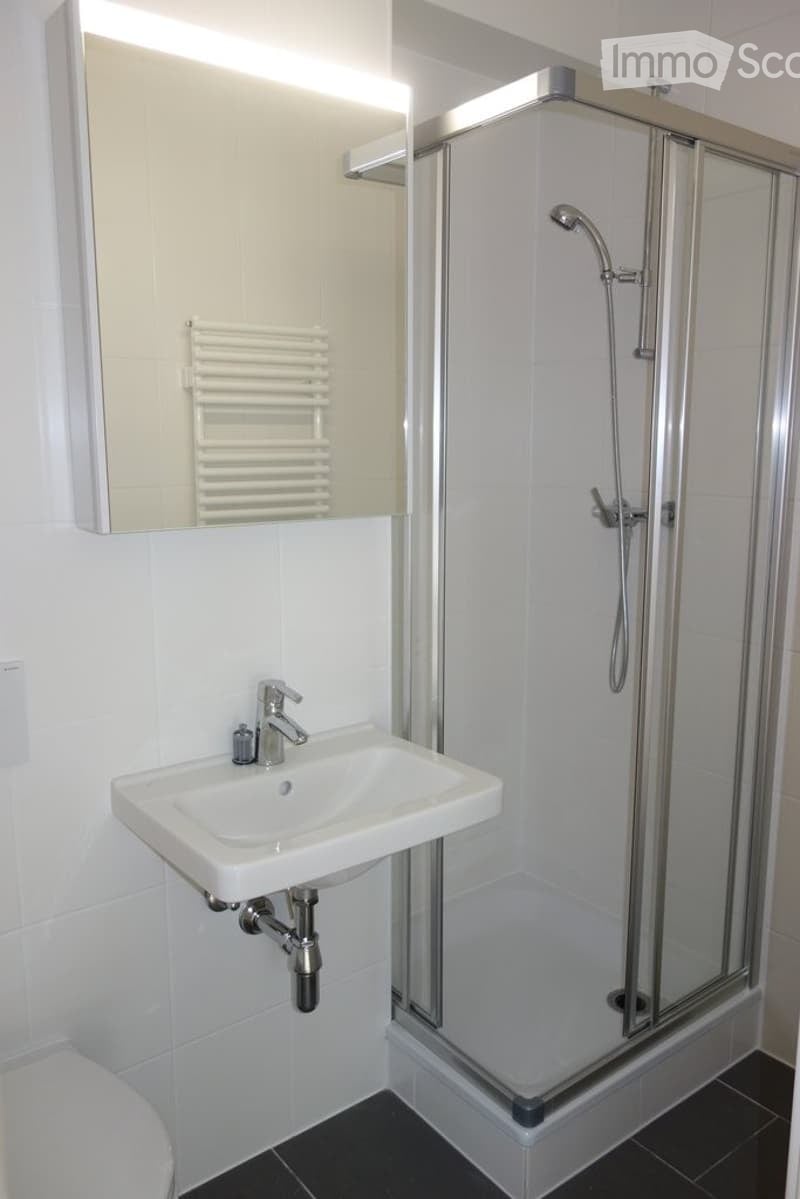 Modern bathroom with a white sink, chrome faucet, mirrored cabinet, radiator, and a glass-enclosed shower with a modern showerhead.