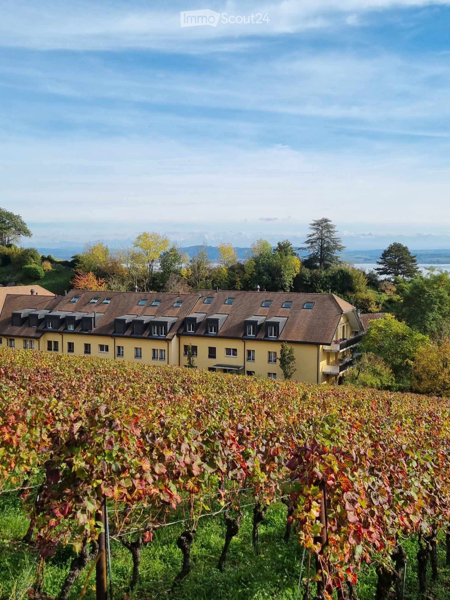A large yellow building with a brown roof and multiple windows, surrounded by vineyards and trees, with mountains in the background.
