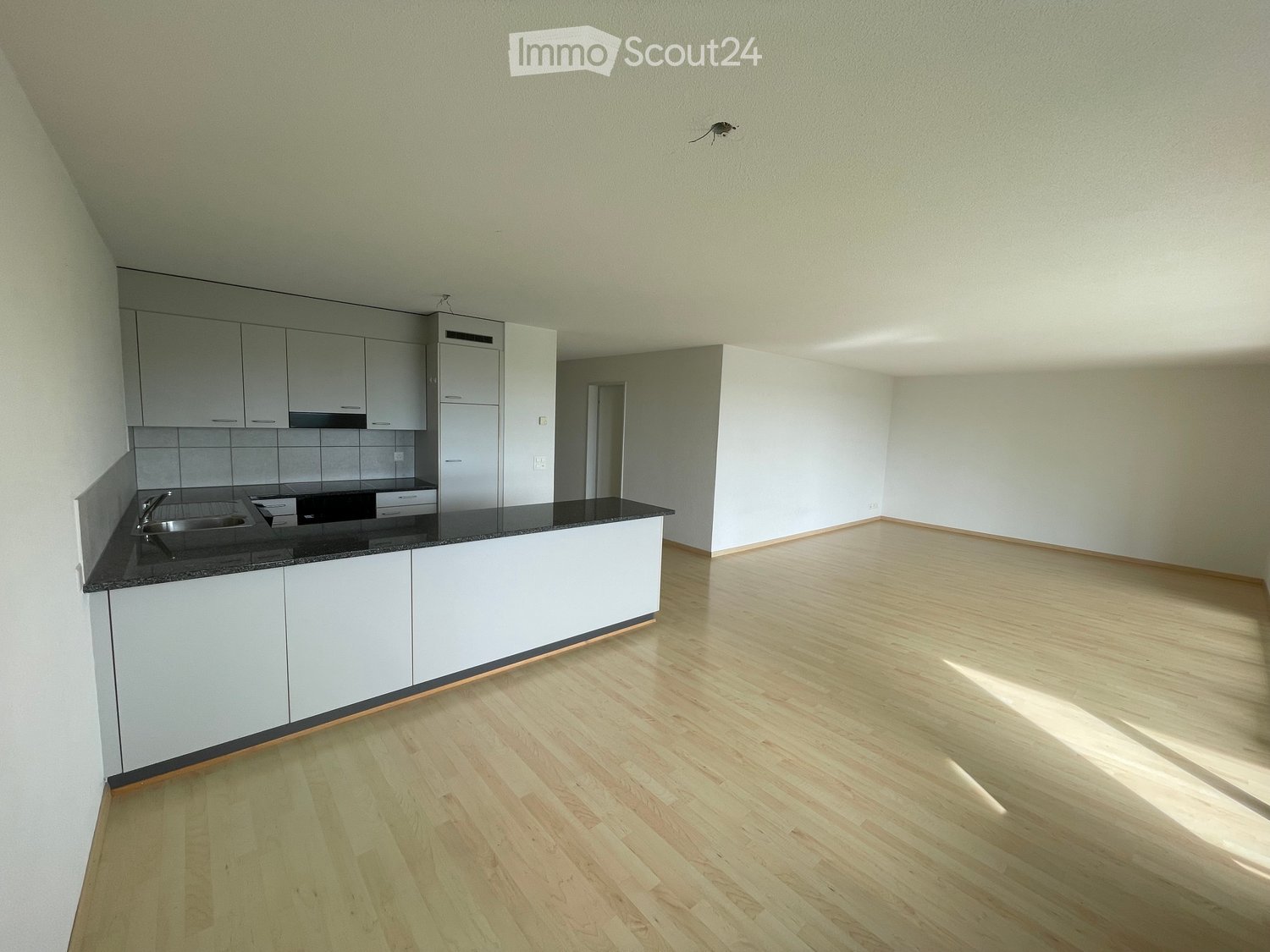 Empty room with light wooden flooring, white walls, and a modern kitchen area featuring grey cabinets, a black countertop, and stainless steel appliances.