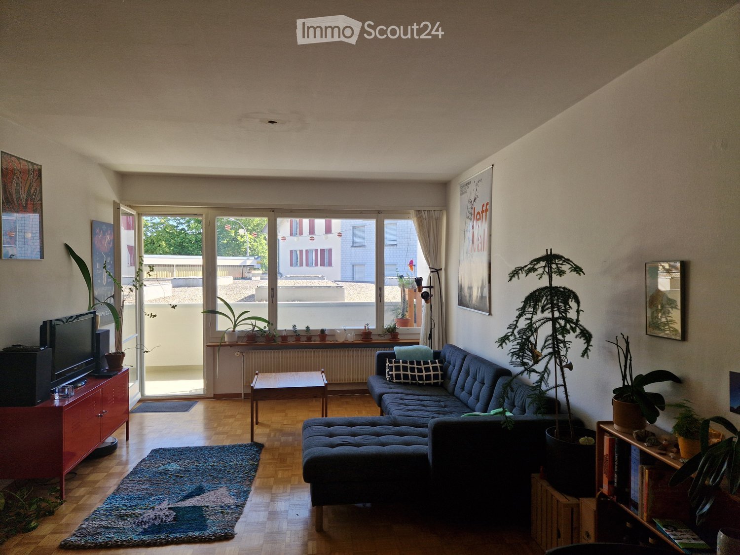 Modern living room with wooden flooring, large windows, a blue sectional sofa, coffee table, TV on a red cabinet, and several potted plants.