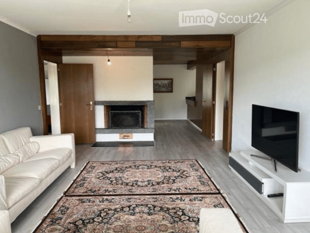 Modern living room with a white sofa, a fireplace, a television on a stand, and patterned rugs on the floor.