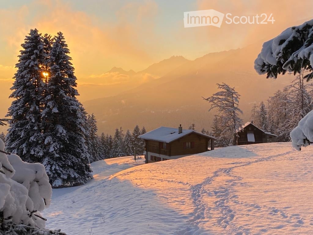 A serene winter landscape featuring a snow-covered house surrounded by snow-laden trees and a distant mountain range under a warm sunset sky.