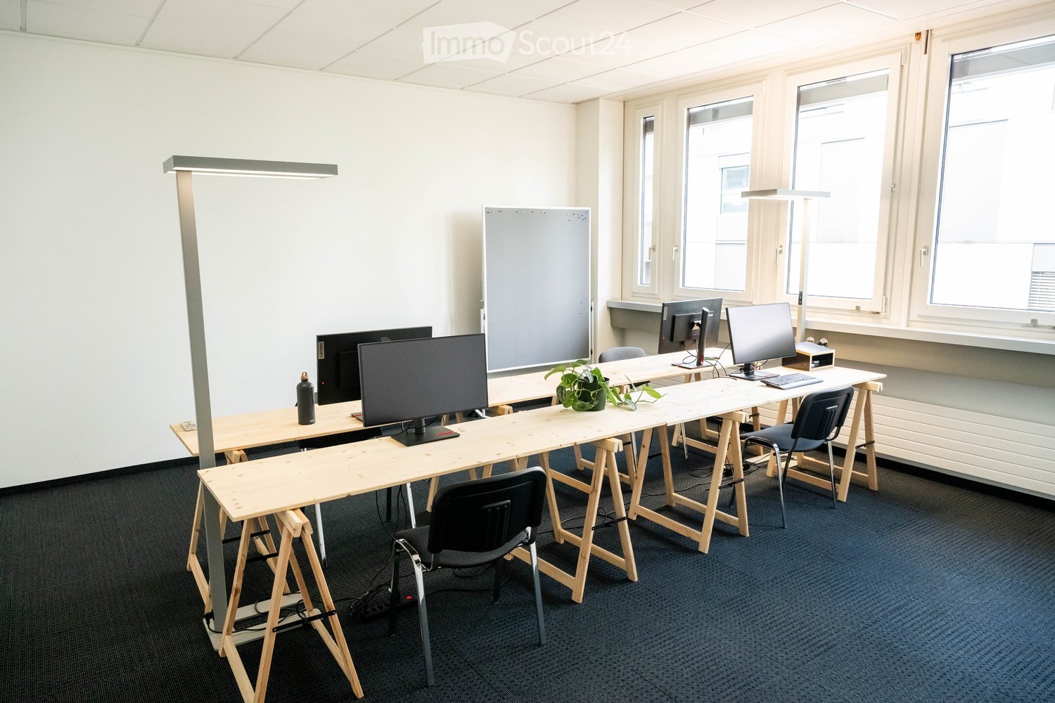 Modern office space with multiple desks, chairs, computer screens, keyboards, and a small plant on one of the desks.