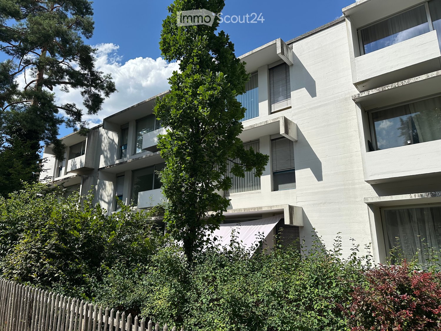 Modern white multi-story building with large windows and balconies, surrounded by greenery and trees.
