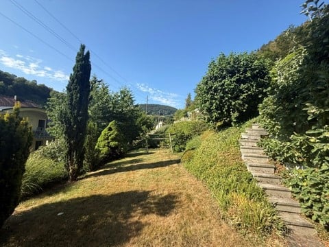 A well-maintained garden with a grassy lawn, tall trees, and a stone staircase leading up a slope.