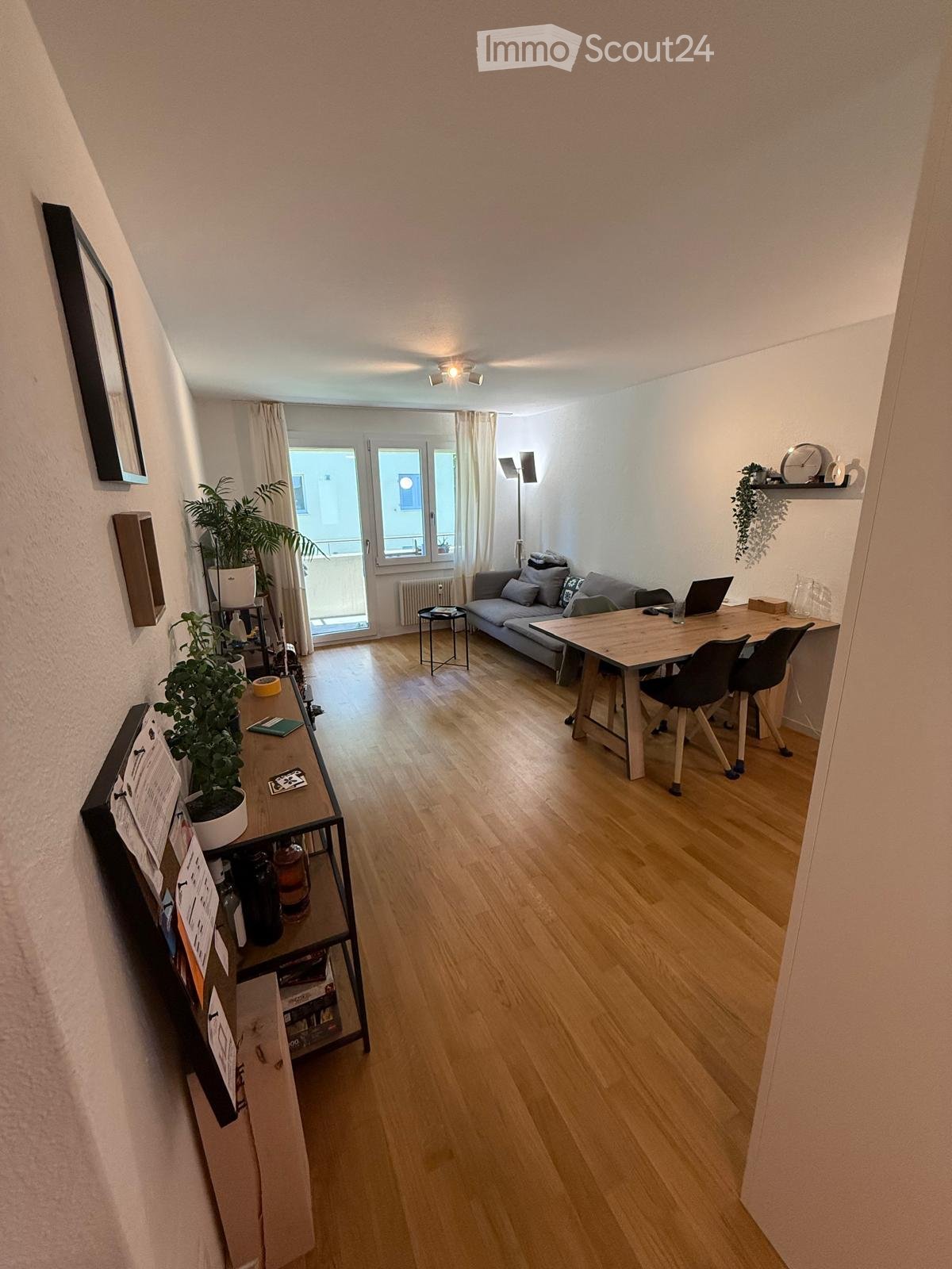A modern, open-plan living and working space with wooden flooring, a grey sofa, a wooden desk, and a laptop. The room features large windows with white curtains, a potted plant, and a shelf with various items.