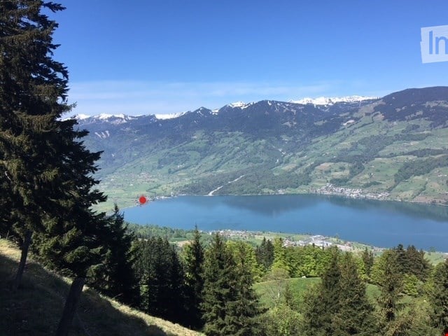 Panoramic view of a serene lake surrounded by lush green forests and snow-capped mountains under a clear blue sky.