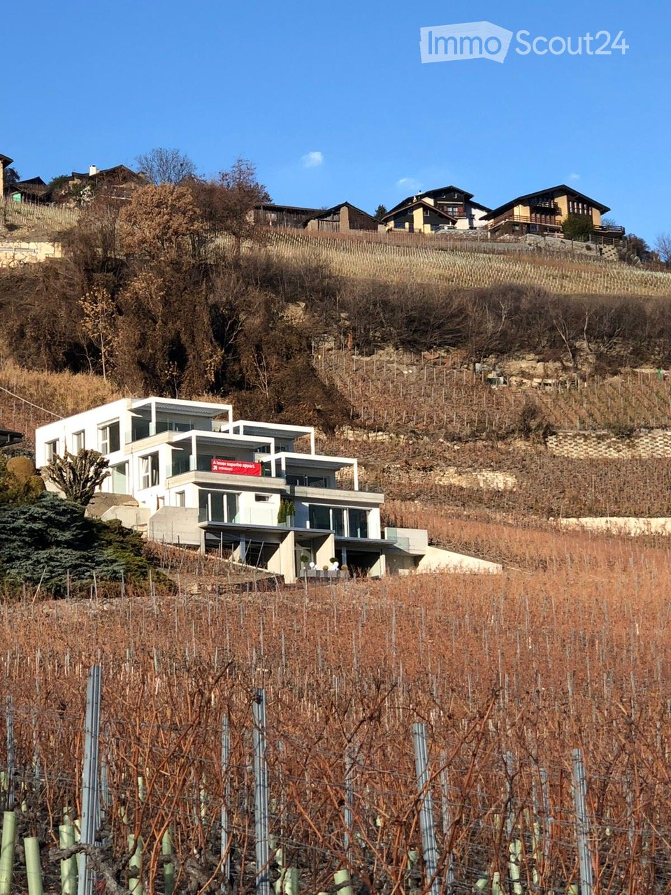 Modern two-story house with white exterior, large windows, and a balcony overlooking a vineyard and hillside.