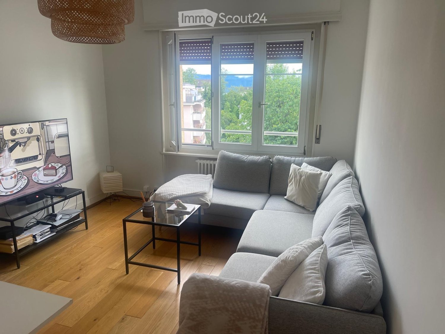 Living room with a grey sectional sofa, glass coffee table, TV stand with a decorative screen, and a hanging wicker lamp.