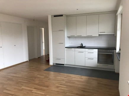 Modern kitchen with white cabinets, wooden flooring, and stainless steel appliances including a sink and oven.