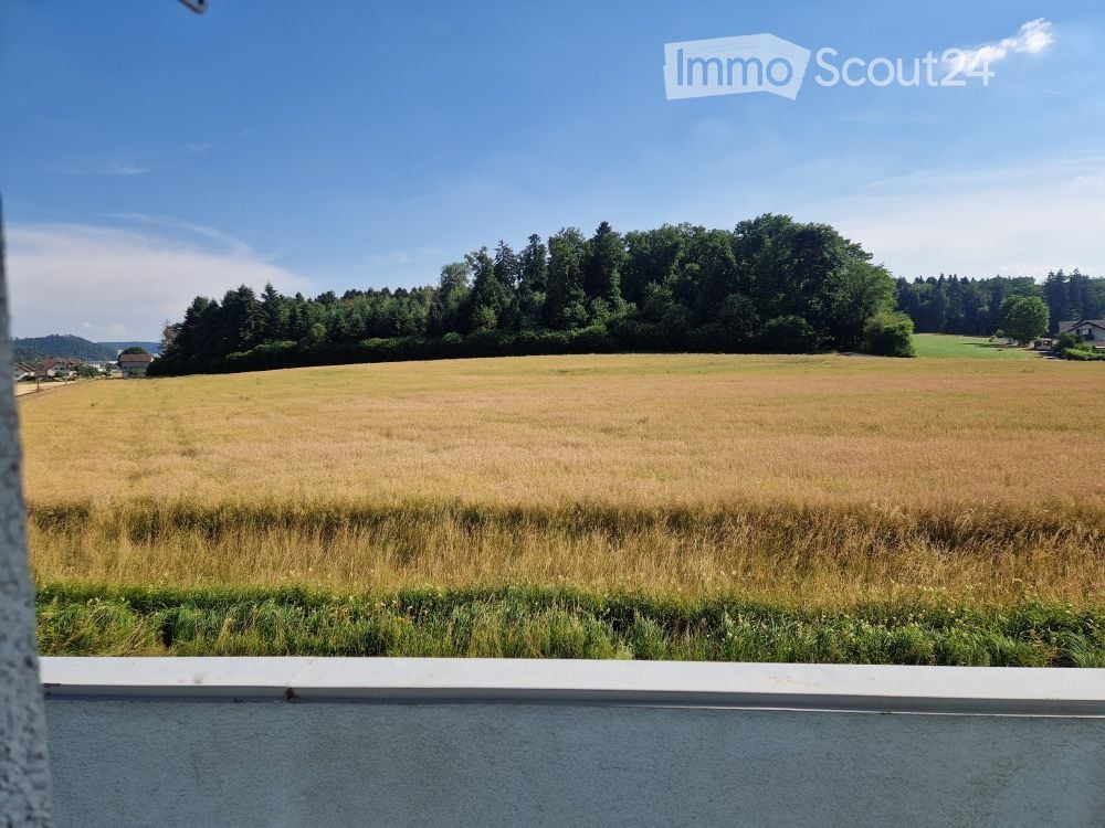 View of a vast, open field with tall grass and scattered trees under a clear blue sky.