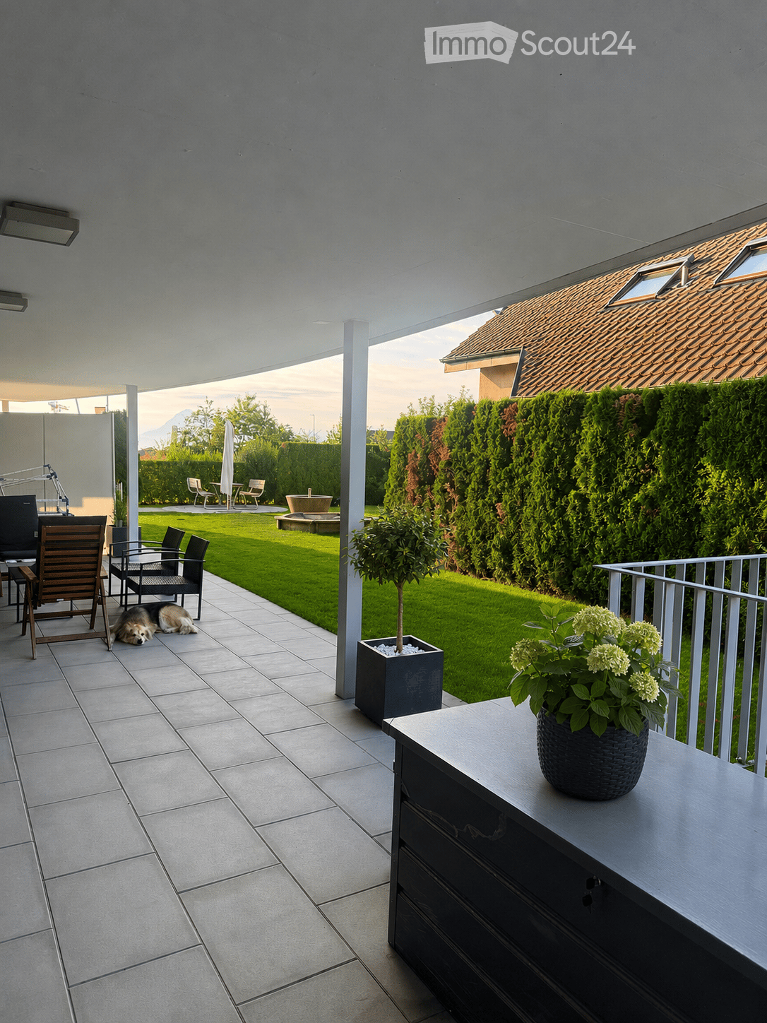 A modern outdoor patio with tiled flooring, a small table with a vase of flowers, a dog resting, and a well-maintained lawn with surrounding greenery and a hedge.