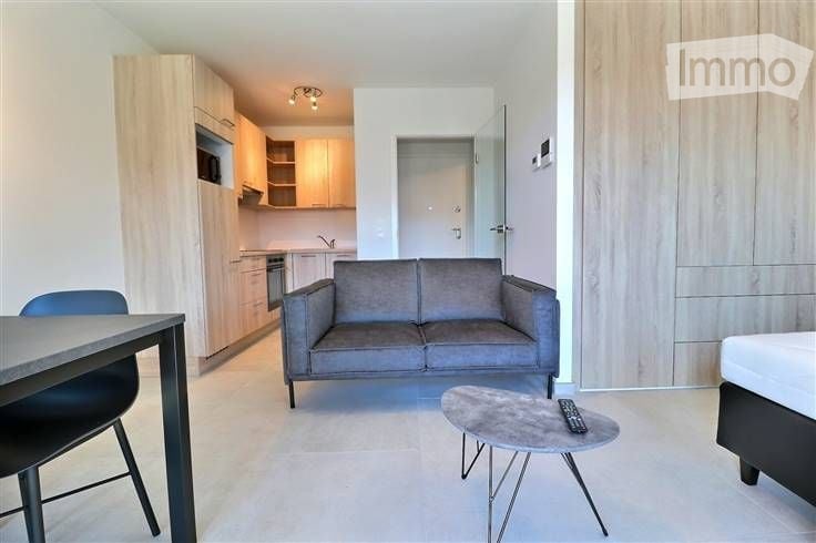 Modern, open-plan living and dining area with a grey sofa, coffee table, dining table with chairs, and a fully equipped kitchen featuring light wood cabinets, an oven, microwave, and fridge.