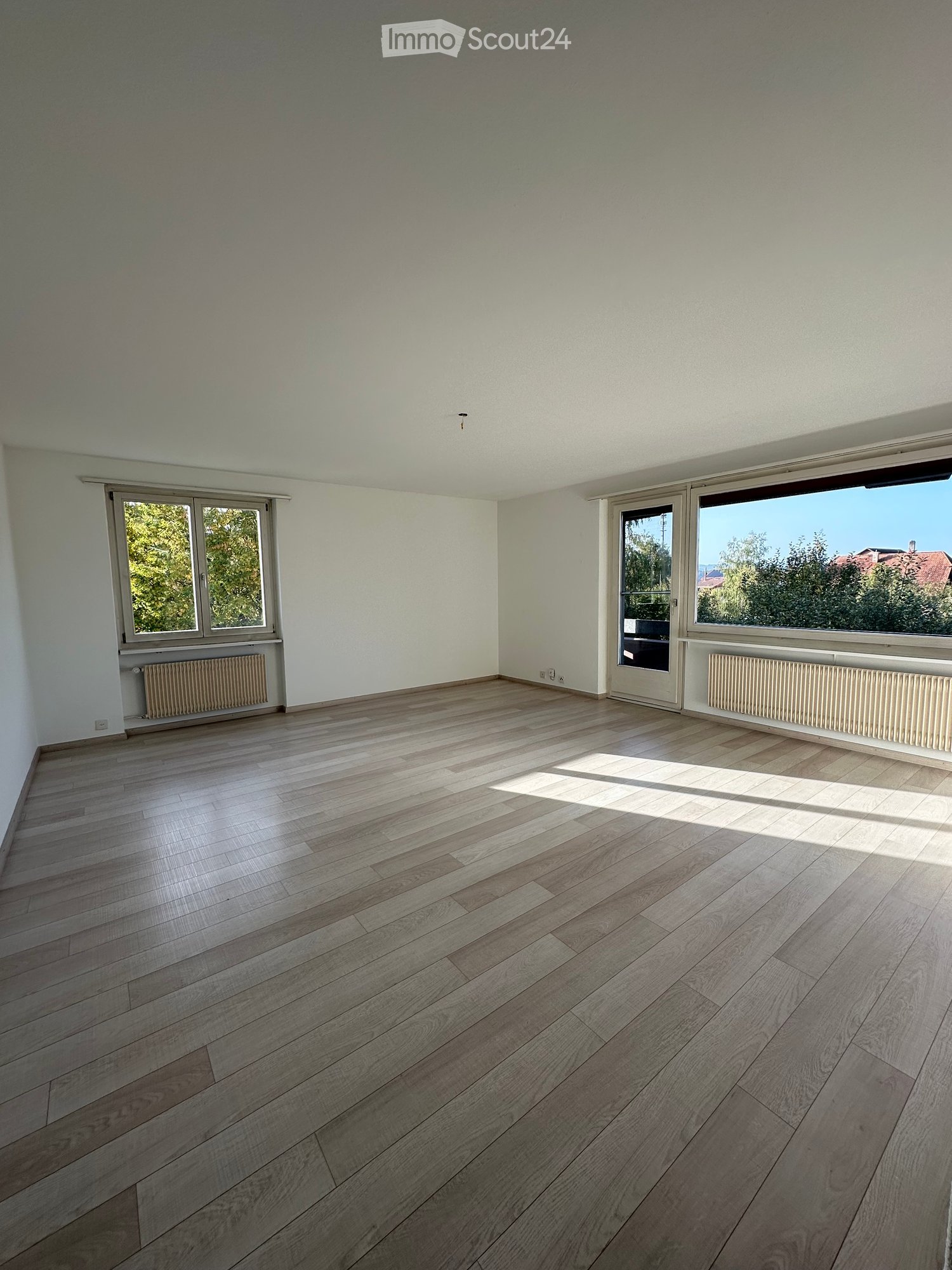 Empty room with light wooden flooring, white walls, and large windows with blinds. Radiators are visible beneath the windows on both sides.