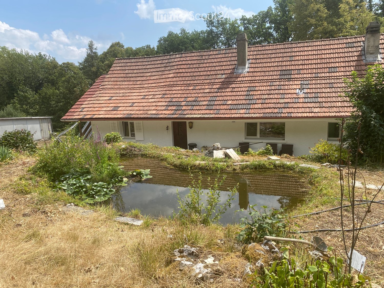 A small pond surrounded by lush greenery and a single-story house with a red-tiled roof in the background.