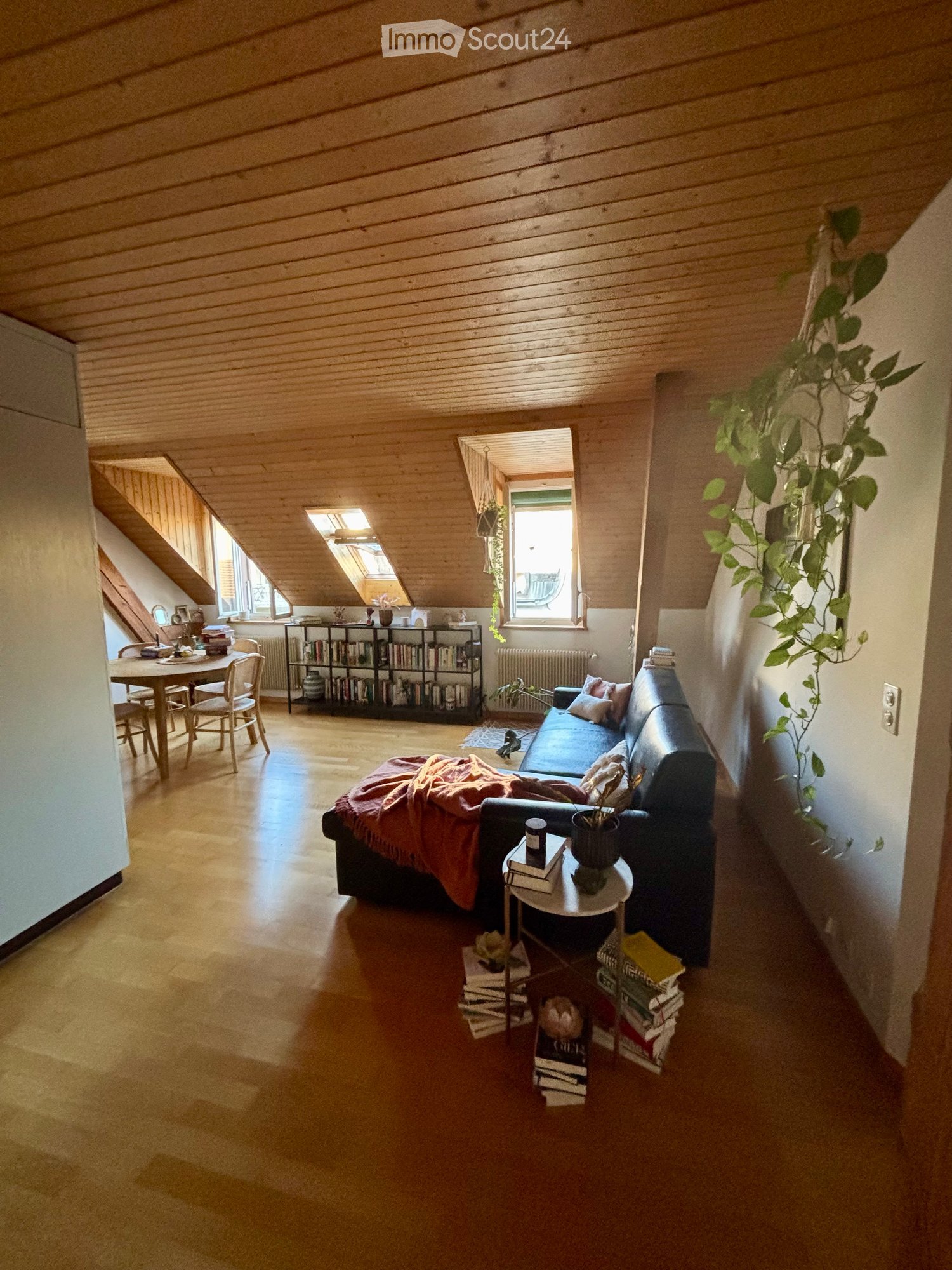 Bright living room with wooden ceiling and floor, large windows, sofa with throw blanket, coffee table, dining area with table and chairs, bookshelf, and potted plants.