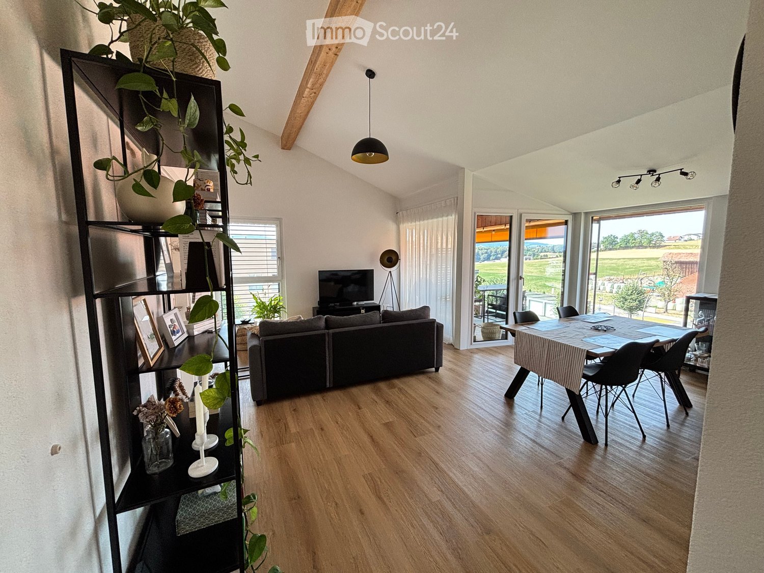 Modern living room with wooden flooring, large windows, and a view of the outdoors. Features a grey sofa, a dining table with chairs, a tall shelving unit with plants and decor, and a television on a stand.