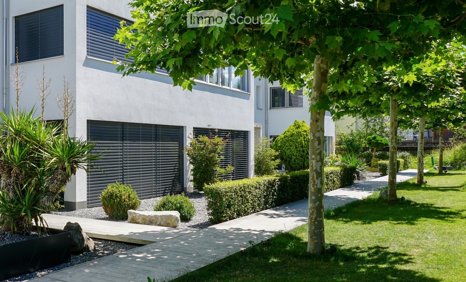 Modern garden with a well-maintained lawn, trimmed hedges, trees, and a wooden deck area near the house.