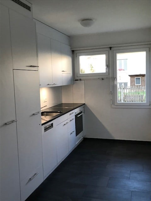 Modern kitchen with white cabinets, stainless steel sink, oven, and dishwasher. Large windows provide natural light.