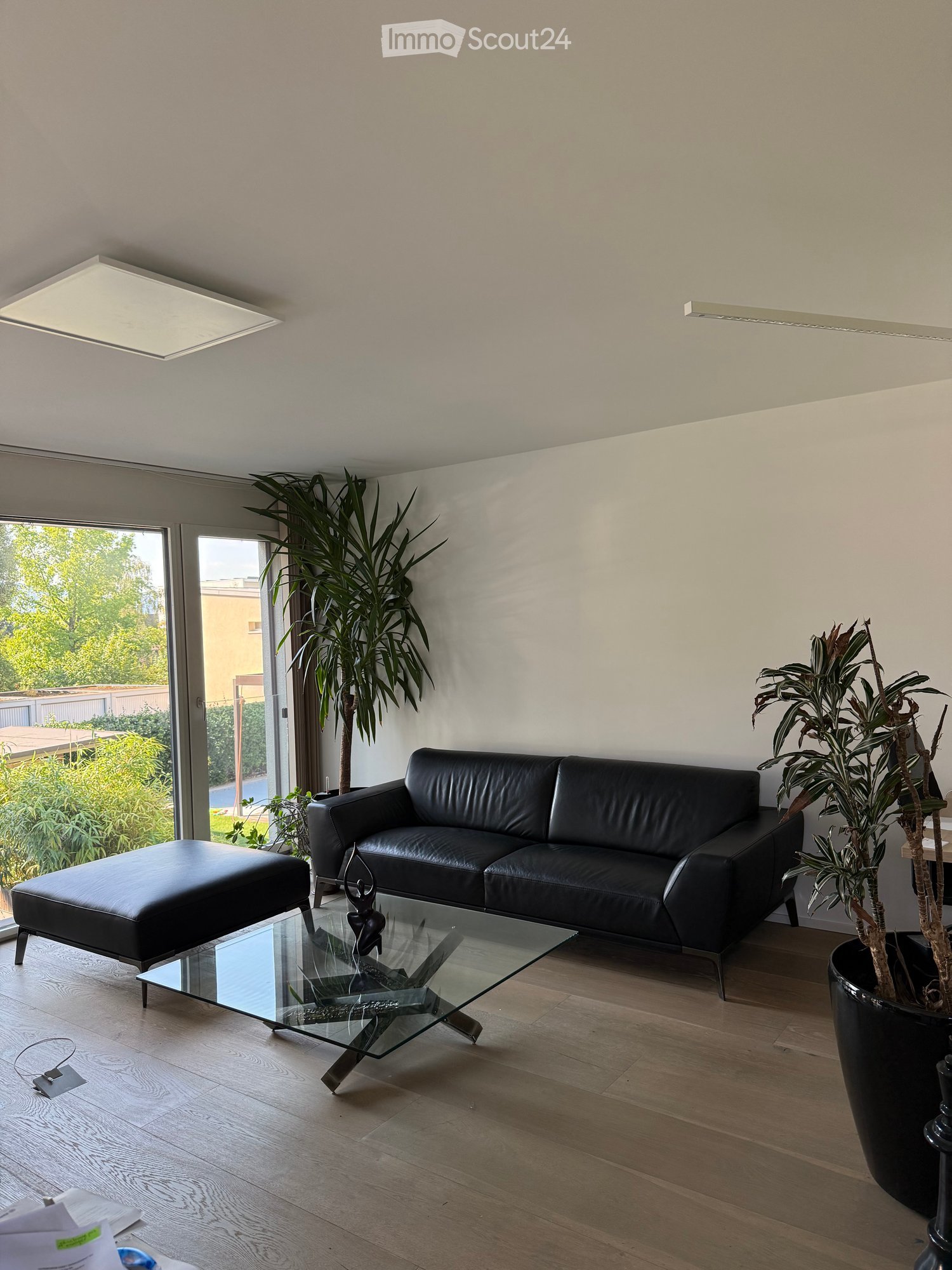Modern living room with a black leather sofa, ottoman, glass coffee table, and large potted plants near large windows.