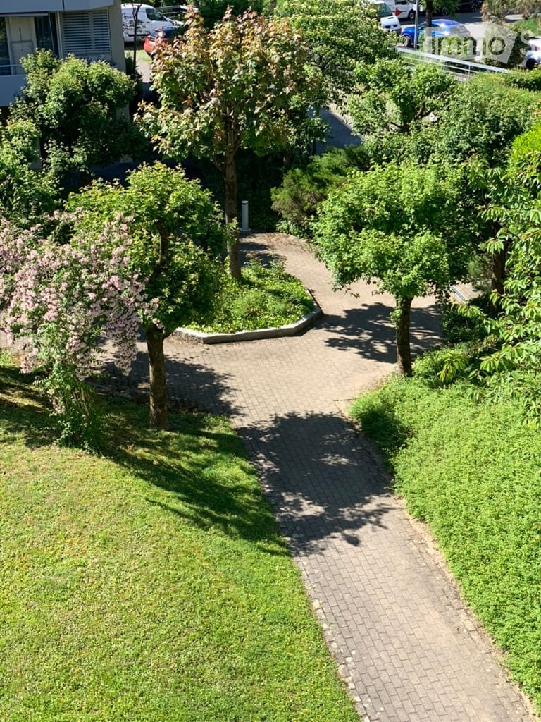 A well-maintained garden area with a paved pathway, trees, and shrubs. The pathway is surrounded by green grass and leads towards a building in the background.