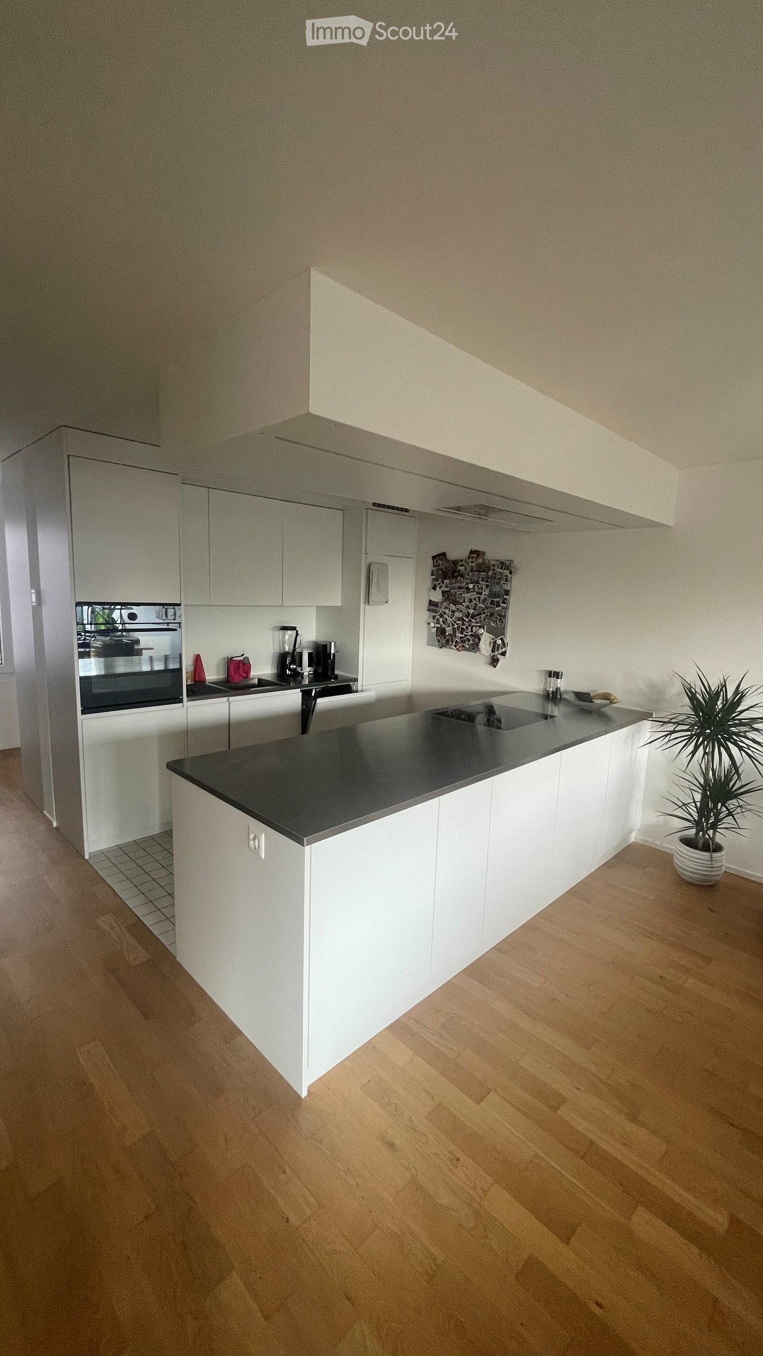 Modern kitchen with white cabinets, dark countertop, built-in oven, sink, coffee maker, blender, and a potted plant on the floor.