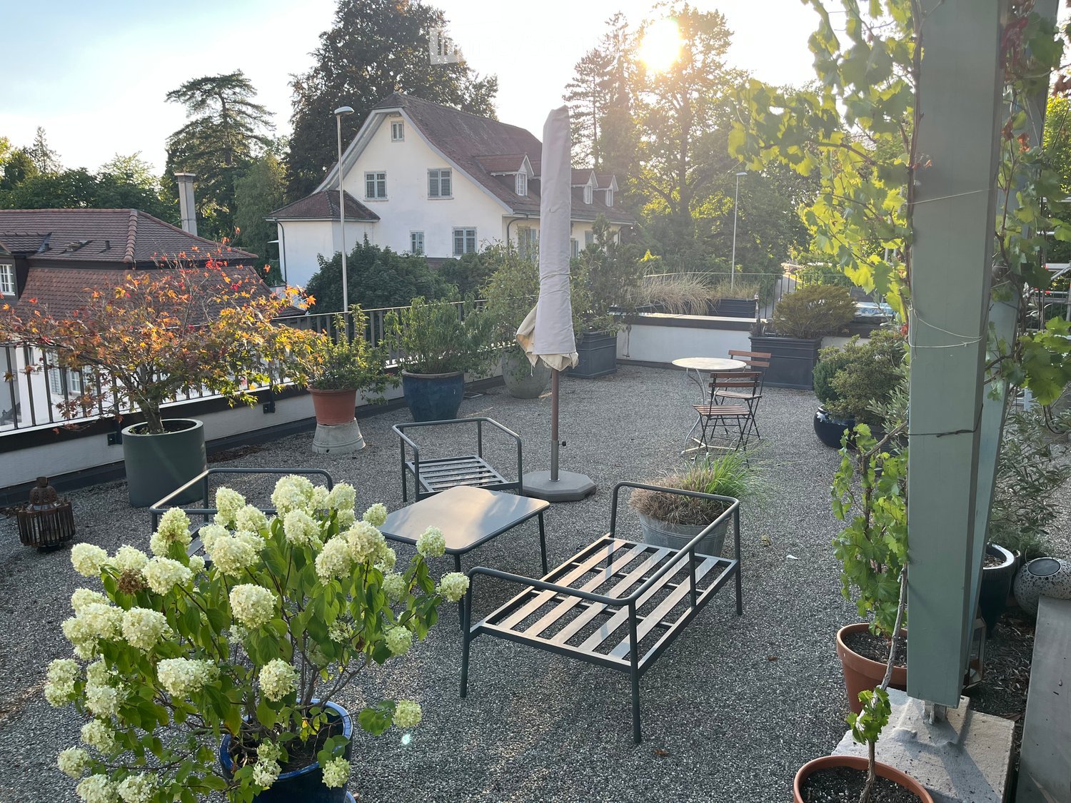A well-maintained garden area with gravel ground, potted plants, a metal bench, a small table, and chairs, with an umbrella and surrounding greenery.