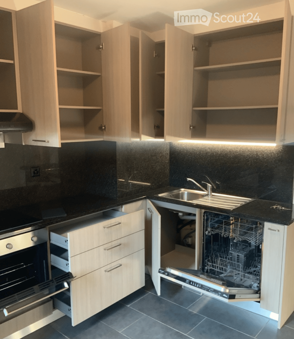 Modern kitchen with light wood cabinets, stainless steel sink, faucet, oven, and dishwasher. Black countertops and backsplash.