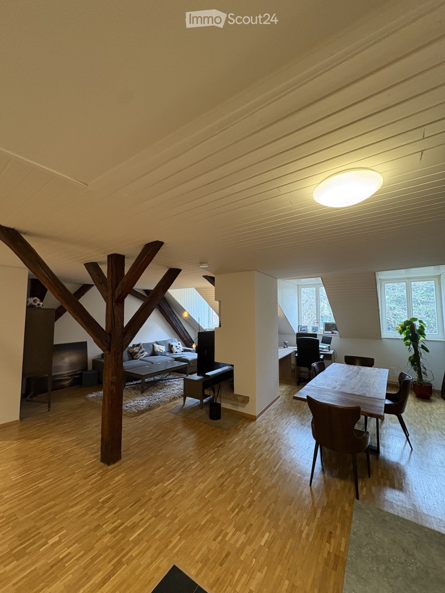 Open-plan living and dining area with wooden floors, exposed wooden beams, large windows, sofa, coffee table, dining table, chairs, and a plant.