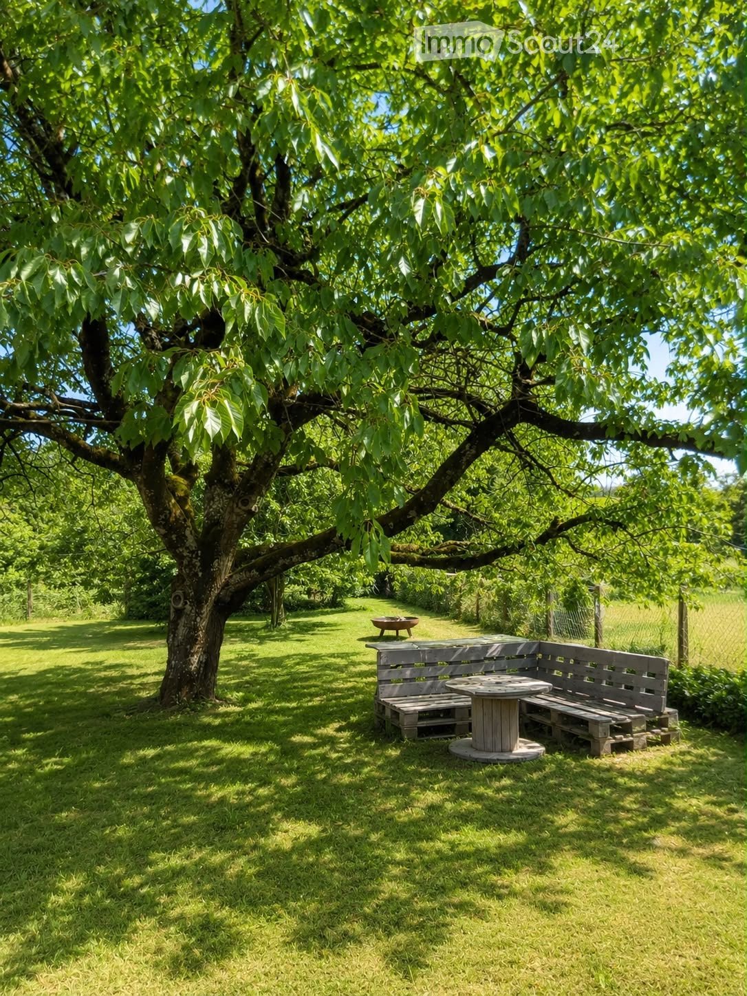 A serene garden area with a large tree providing shade, a wooden bench, a round table, and a small fire pit, surrounded by lush green grass and a fence in the background.