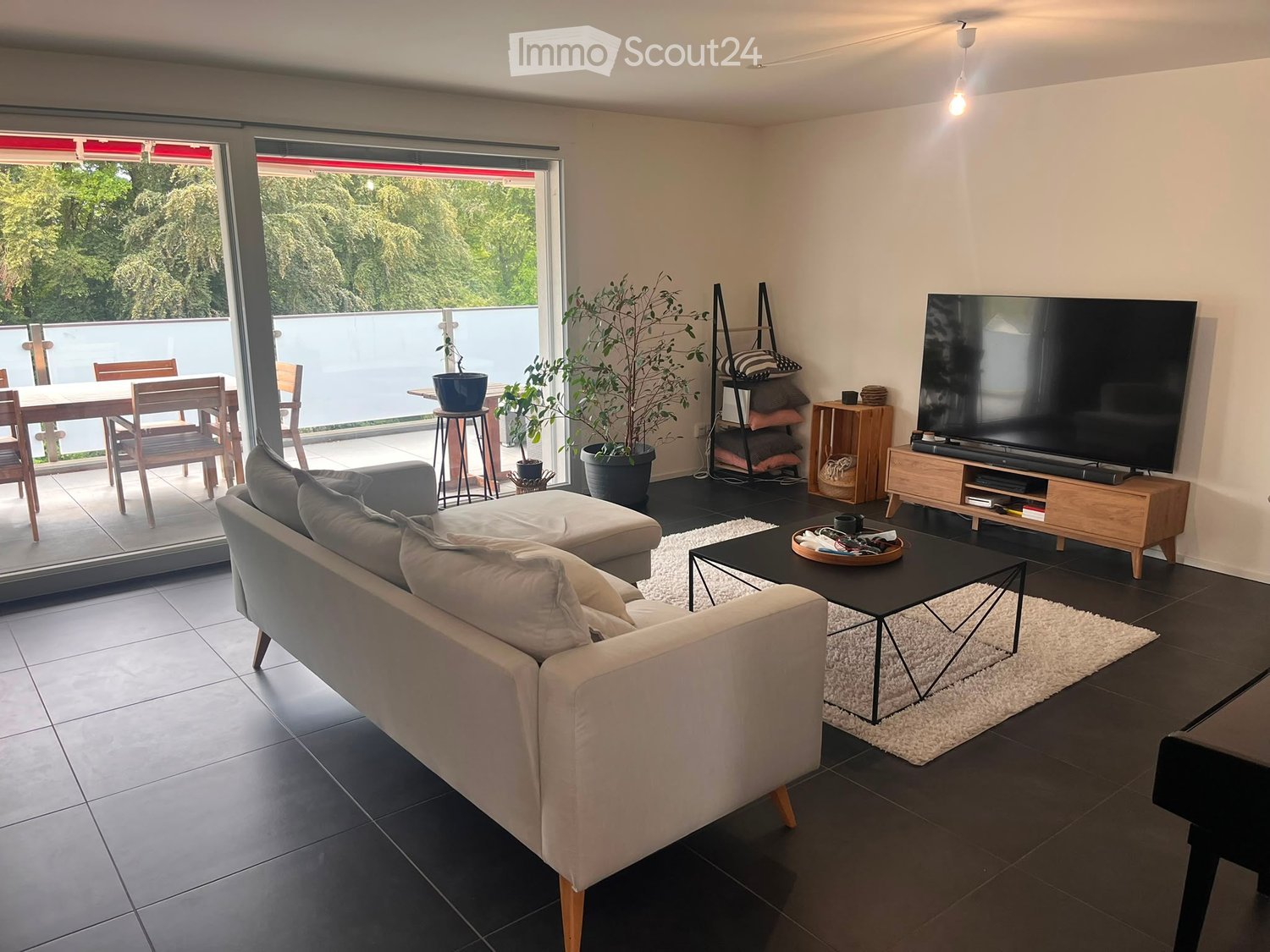 Modern living room with a grey sofa, coffee table, TV, side table, and potted plants. Large windows and a balcony are visible.