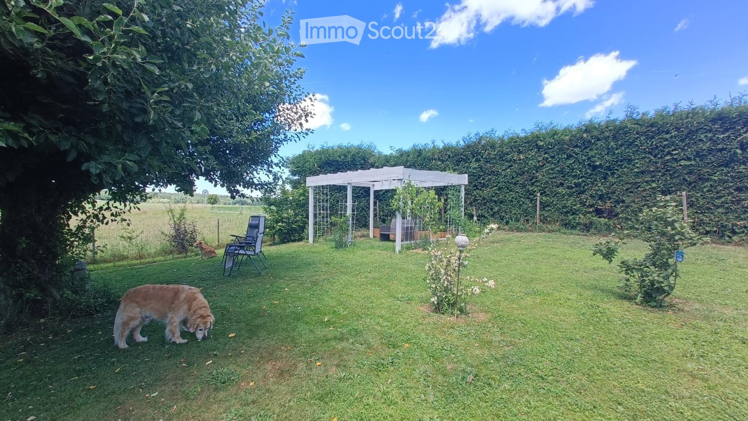 A well-maintained garden with a grassy lawn, a pergola structure, outdoor chairs, and two dogs. The area is surrounded by hedges and trees, with a clear blue sky overhead.