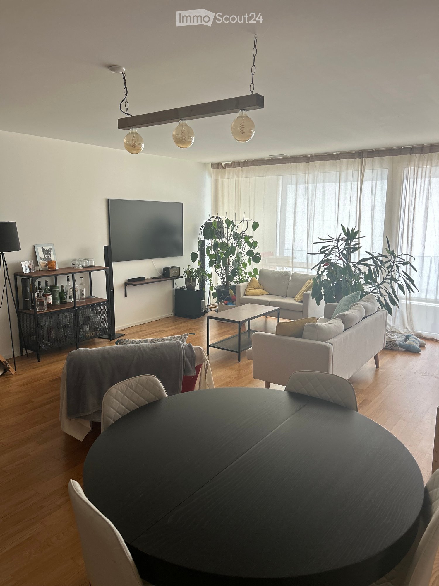 Modern living room with wooden flooring, large windows, two sofas, coffee table, pendant light, TV, shelf with bottles, and plants.