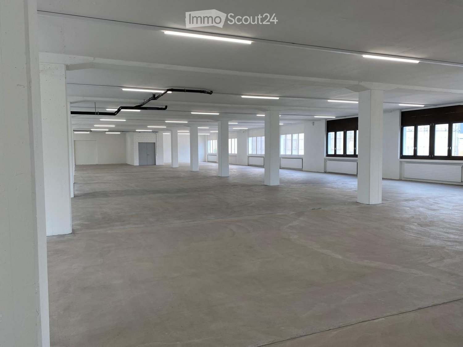Large, empty industrial-style room with concrete floors, white pillars, and large windows. No furniture or equipment present.