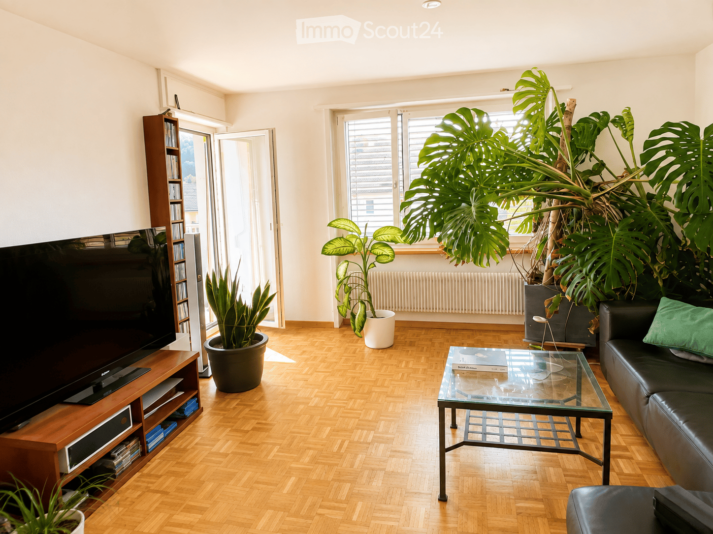 Bright living room with wooden flooring, large windows, and a balcony door. Features a black leather sofa, glass coffee table, flat-screen TV on a wooden stand, and several potted plants, including a large Monstera.