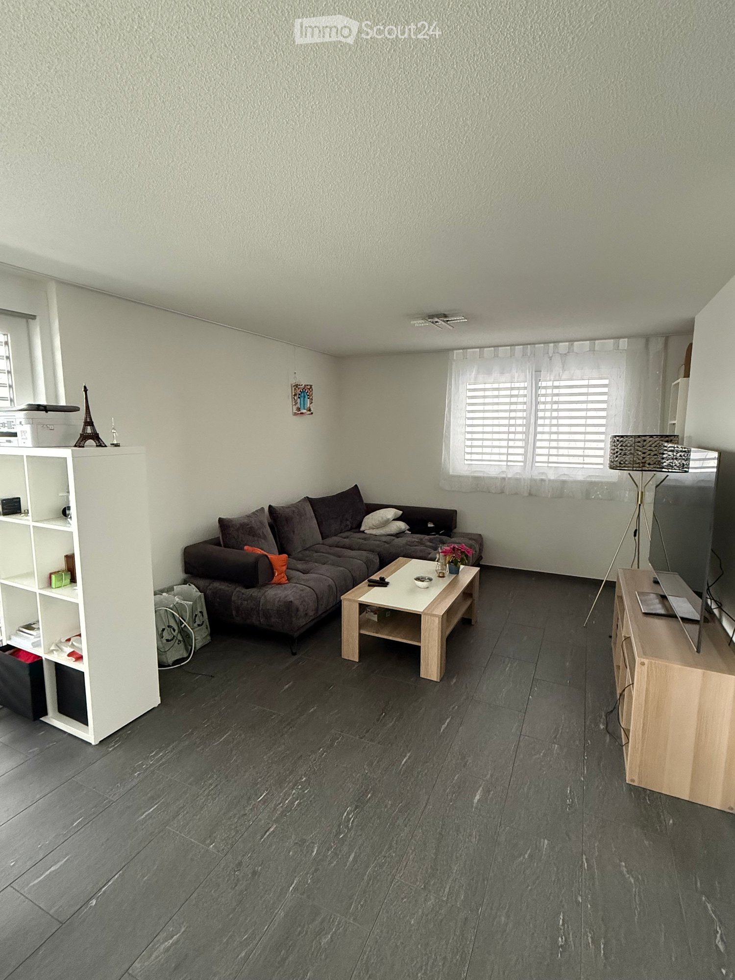 Modern living room with dark grey sectional sofa, wooden coffee table, TV stand, floor lamp, and a white shelf with decorative items.
