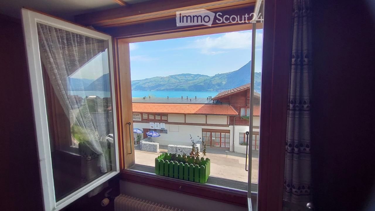 Window view overlooking a scenic lake and mountains, with a small green planter on the windowsill, curtains, and a radiator below the window.