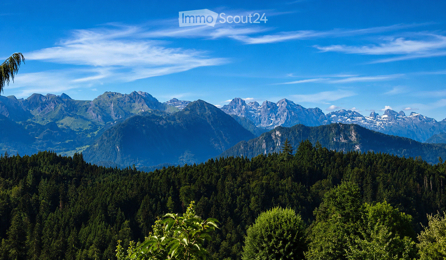 A panoramic view of a mountain range with snow-capped peaks and dense forest in the foreground under a clear blue sky.