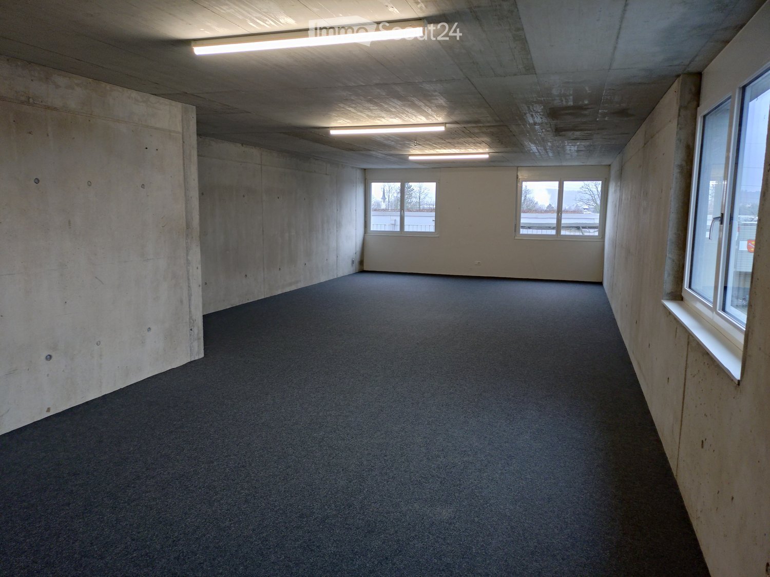 Empty room with bare concrete walls, carpeted floor, and large windows allowing natural light.