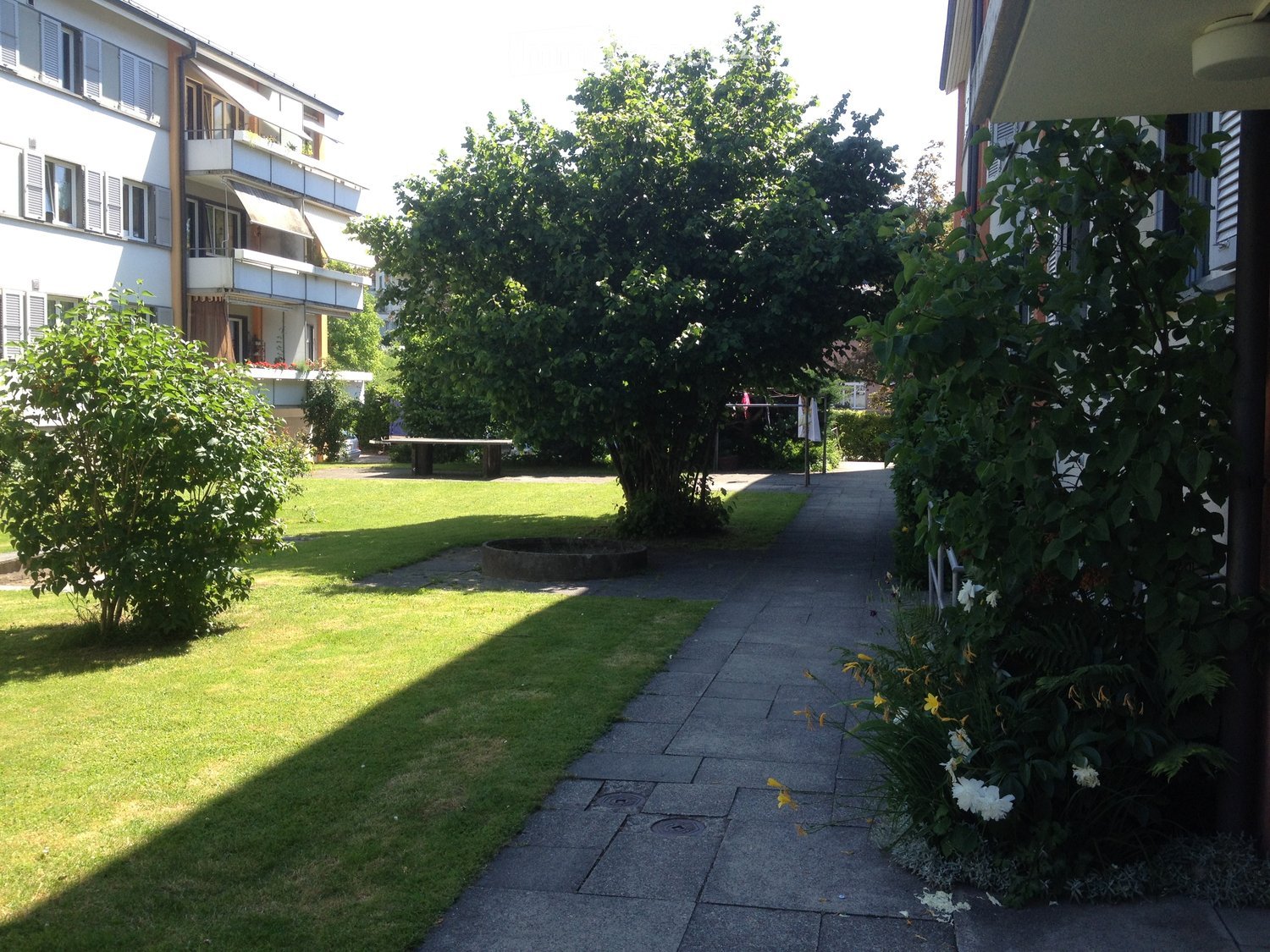 Well-maintained garden area with a paved pathway, grassy lawn, trees, and a small fountain. A bench is visible in the background near the building.