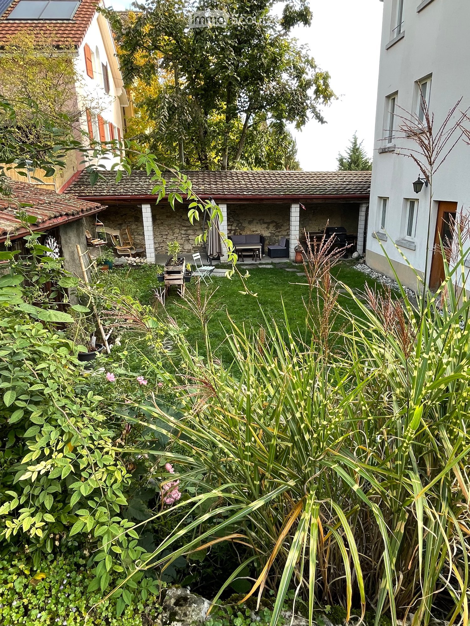 Garden with a stone patio, seating area, and lush greenery, including tall grasses and flowering plants.
