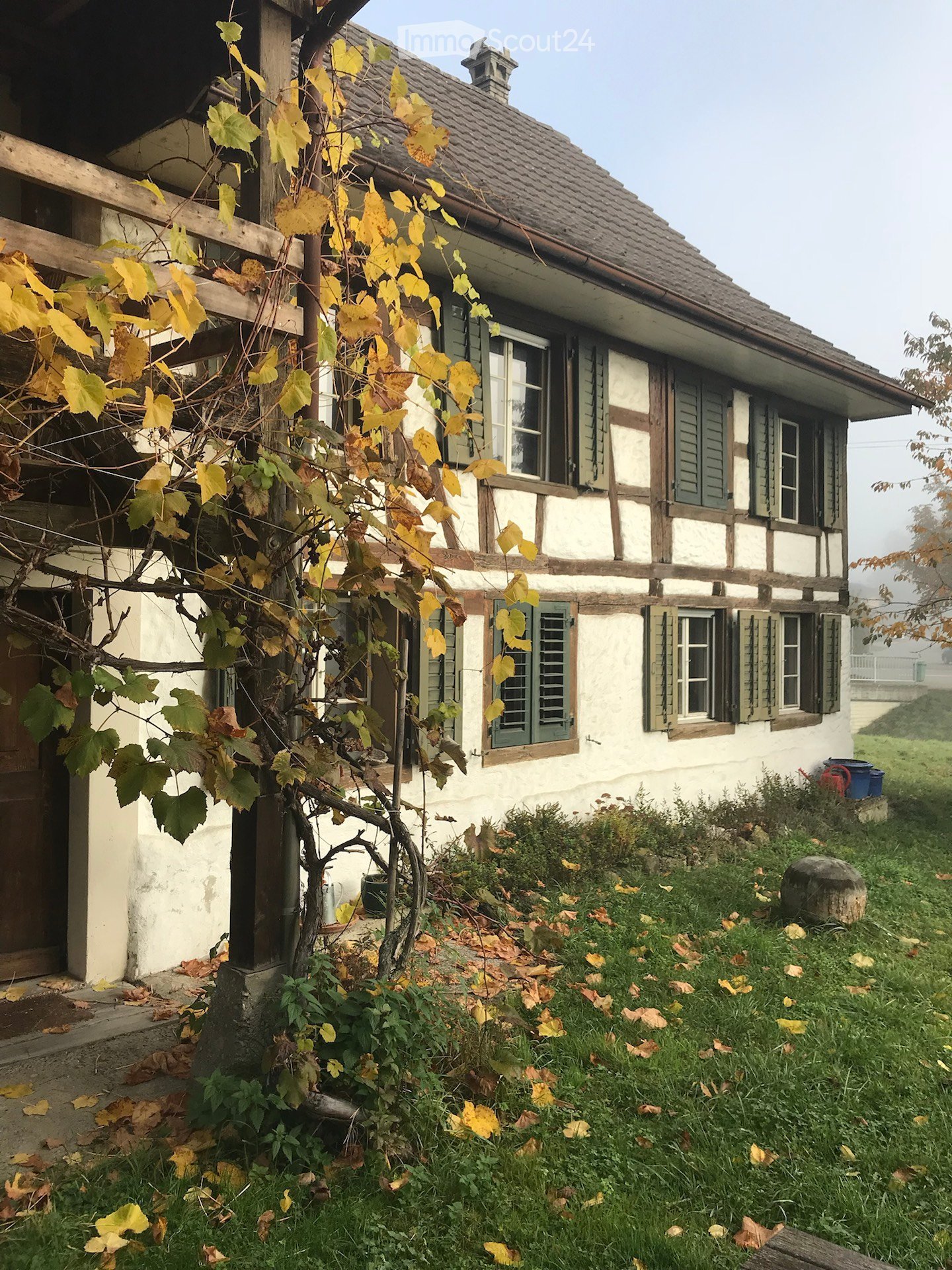 Traditional half-timbered house with white plaster walls, green shutters, and a sloped roof. A grapevine with yellow leaves is growing in the foreground, and the ground is covered with grass and fallen leaves.