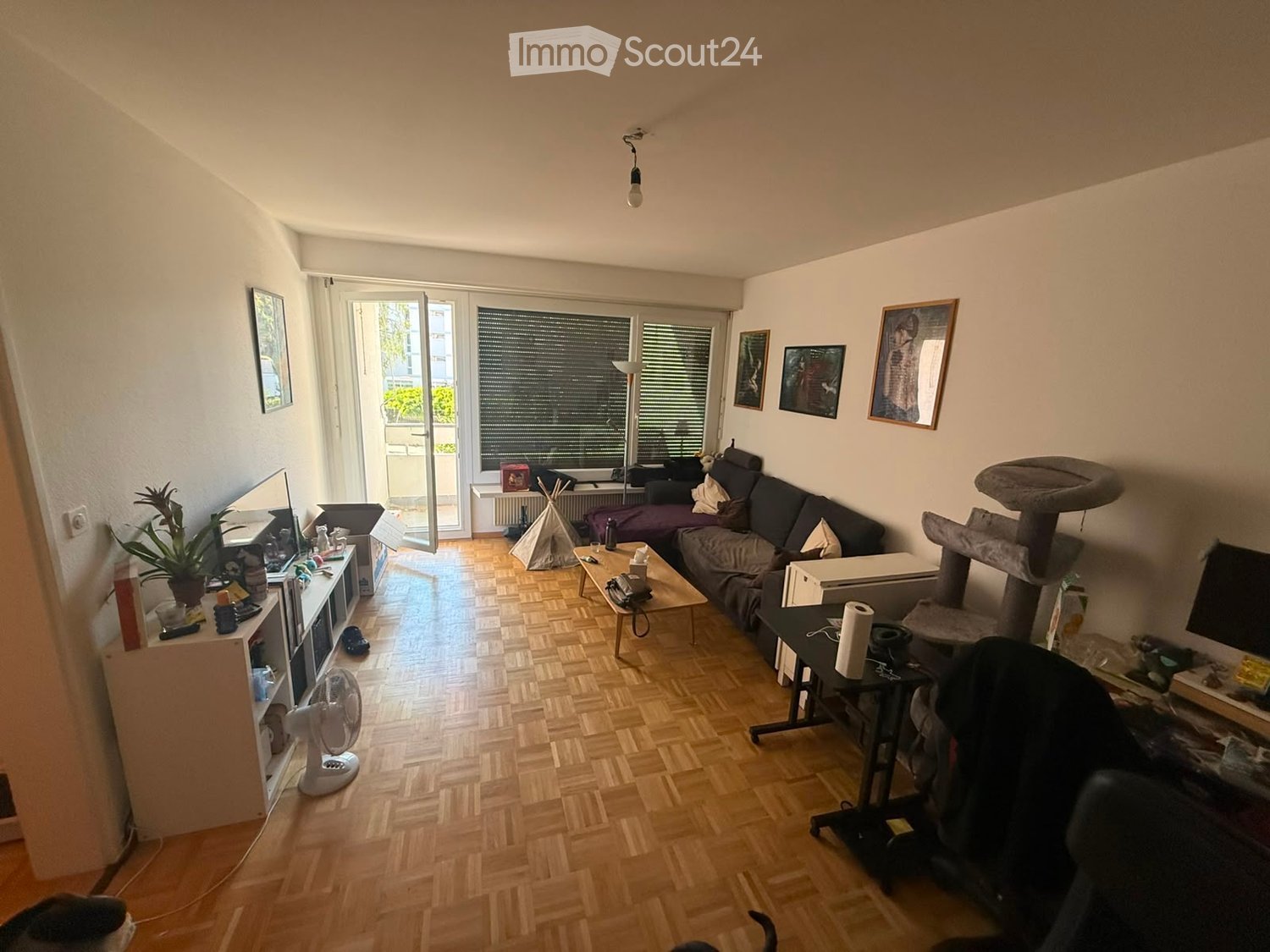Living room with wooden flooring, large windows, sofa, coffee table, cat tree, fan, and various decorative items.